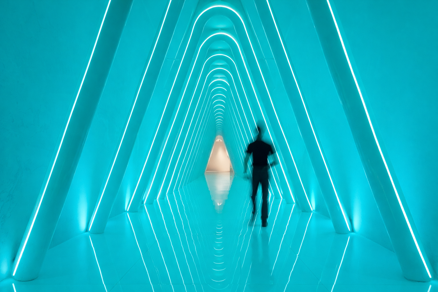 350099c6-f8e9-4336-9bf1-c4643896b6a3